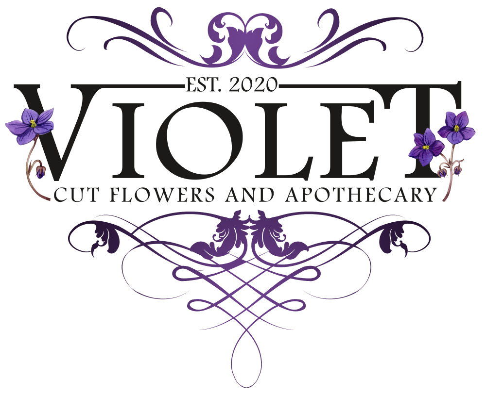 Violet Cut Flowers
